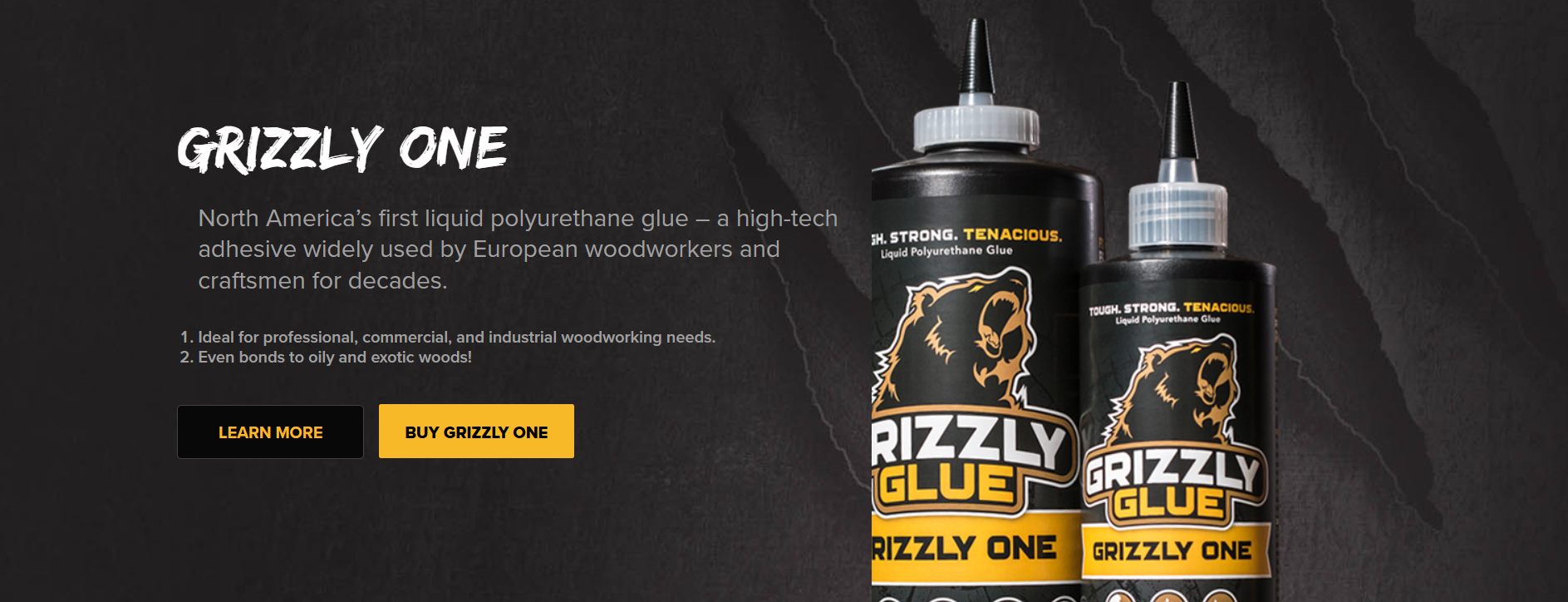 Grizzly Glue Home Page - Grizzly One section